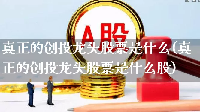 真正的创投龙头股票是什么(真正的创投龙头股票是什么股)_https://www.ccit-cctv.com_创业板_第1张