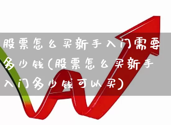 股票怎么买新手入门需要多少钱(股票怎么买新手入门多少钱可以买)_https://www.ccit-cctv.com_上交所_第1张