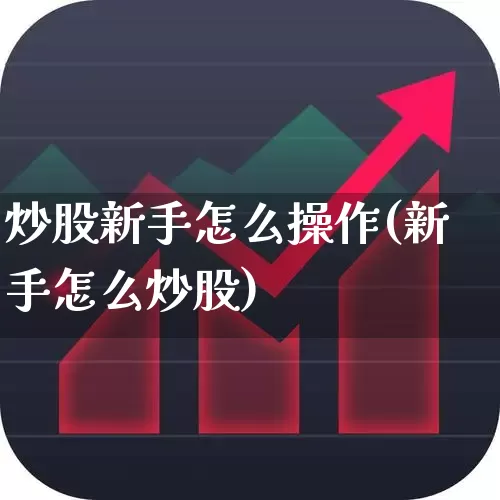 炒股新手怎么操作(新手怎么炒股)_https://www.ccit-cctv.com_北交所_第1张