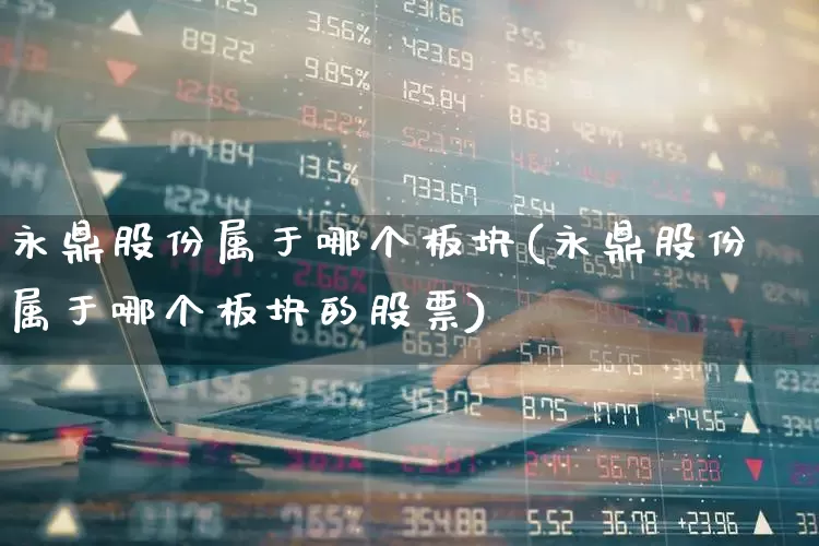 永鼎股份属于哪个板块(永鼎股份属于哪个板块的股票)_https://www.ccit-cctv.com_北交所_第1张