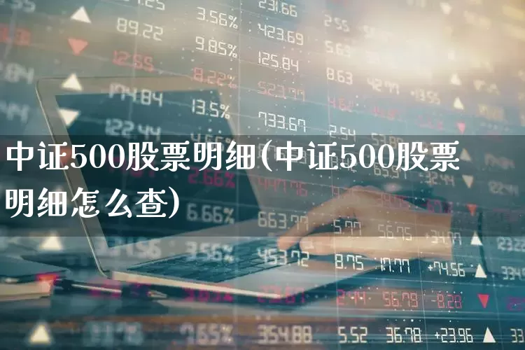 中证500股票明细(中证500股票明细怎么查)_https://www.ccit-cctv.com_北交所_第1张