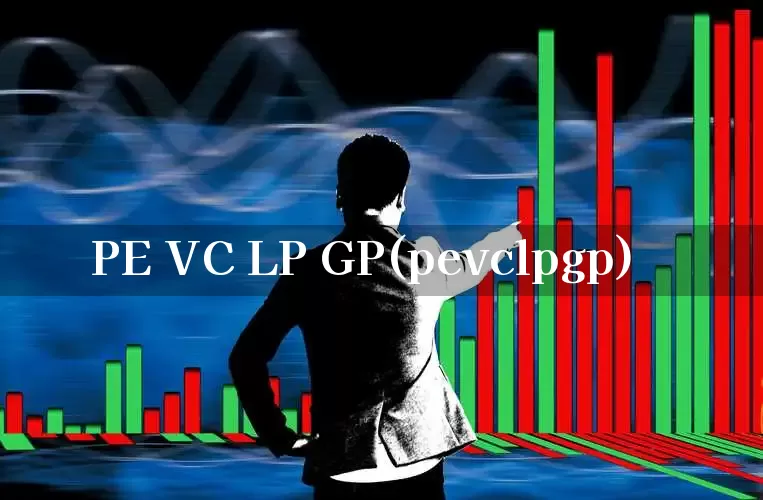 PE VC LP GP(pevclpgp)_https://www.ccit-cctv.com_上交所_第1张