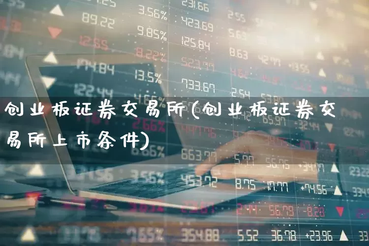 创业板证券交易所(创业板证券交易所上市条件)_https://www.ccit-cctv.com_科创板_第1张