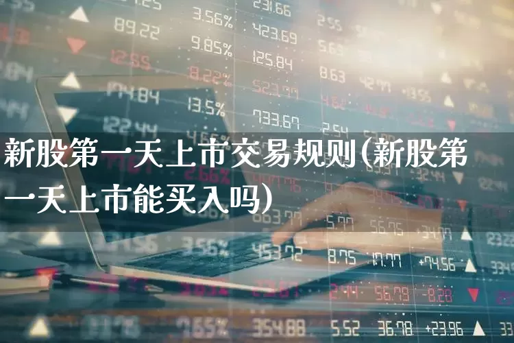 新股第一天上市交易规则(新股第一天上市能买入吗)_https://www.ccit-cctv.com_上交所_第1张