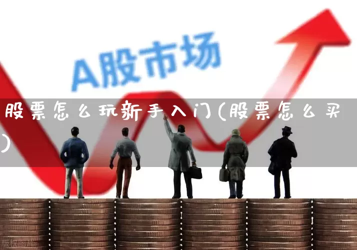 股票怎么玩新手入门(股票怎么买)_https://www.ccit-cctv.com_北交所_第1张