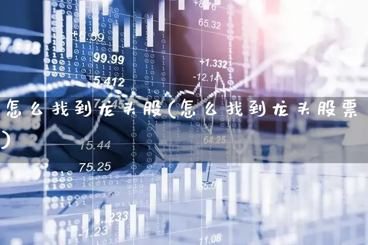 怎么找到龙头股(怎么找到龙头股票)_https://www.ccit-cctv.com_上交所_第1张