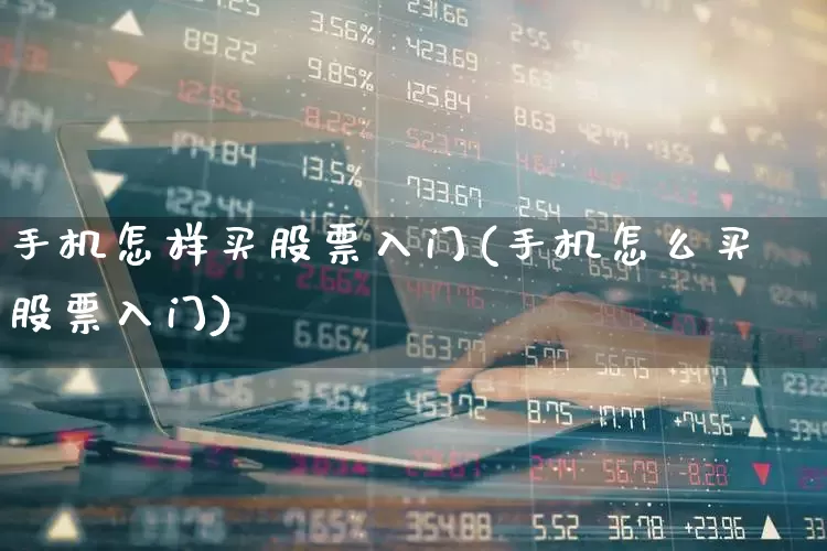 手机怎样买股票入门(手机怎么买股票入门)_https://www.ccit-cctv.com_深交所_第1张