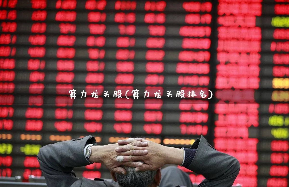 算力龙头股(算力龙头股排名)_https://www.ccit-cctv.com_创业板_第1张