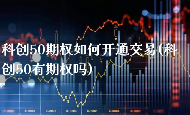 科创50期权如何开通交易(科创50有期权吗)_https://www.ccit-cctv.com_上交所_第1张
