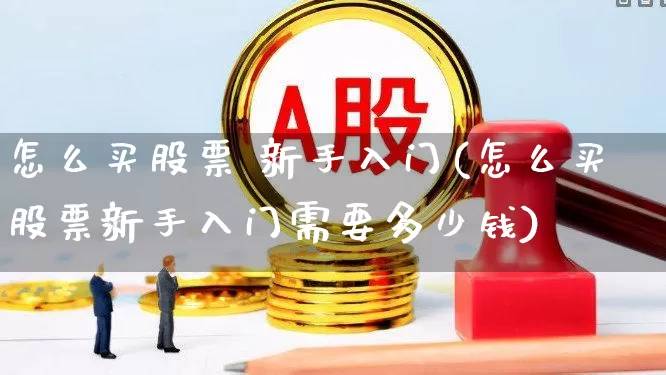 怎么买股票 新手入门(怎么买股票新手入门需要多少钱)_https://www.ccit-cctv.com_创业板_第1张