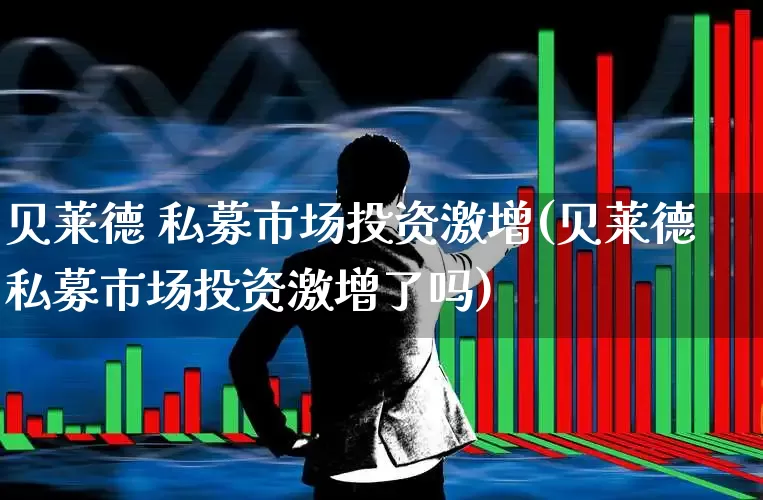 贝莱德 私募市场投资激增(贝莱德私募市场投资激增了吗)_https://www.ccit-cctv.com_科创板_第1张
