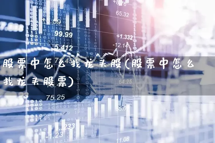 股票中怎么找龙头股(股票中怎么找龙头股票)_https://www.ccit-cctv.com_深交所_第1张