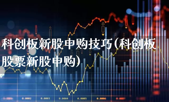 科创板新股申购技巧(科创板股票新股申购)_https://www.ccit-cctv.com_深交所_第1张