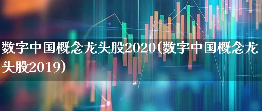数字中国概念龙头股2020(数字中国概念龙头股2019)_https://www.ccit-cctv.com_创业板_第1张