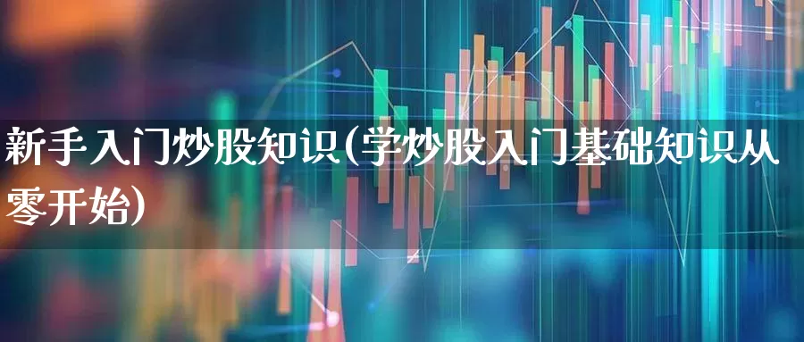 新手入门炒股知识(学炒股入门基础知识从零开始)_https://www.ccit-cctv.com_创业板_第1张
