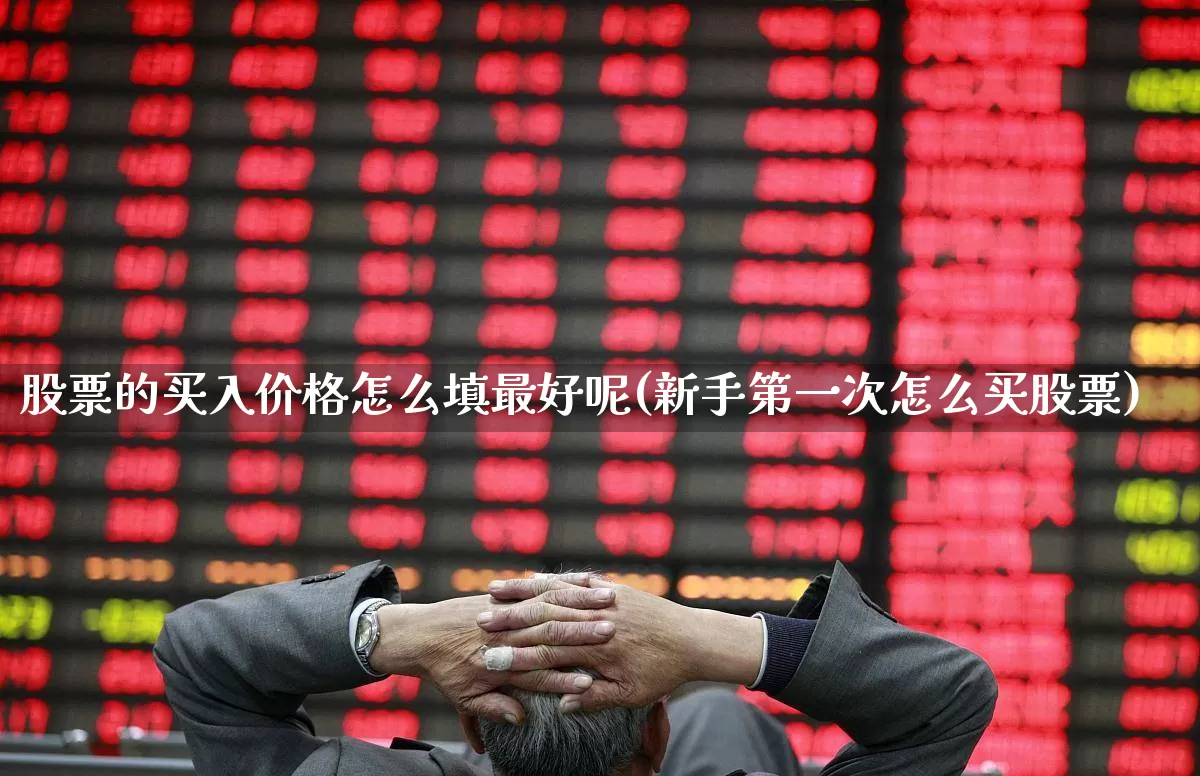 股票的买入价格怎么填最好呢(新手第一次怎么买股票)_https://www.ccit-cctv.com_深交所_第1张