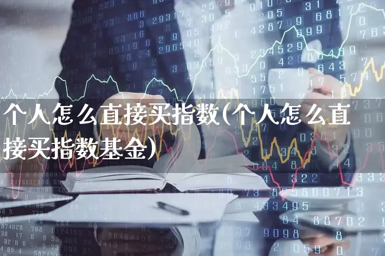 个人怎么直接买指数(个人怎么直接买指数基金)_https://www.ccit-cctv.com_科创板_第1张