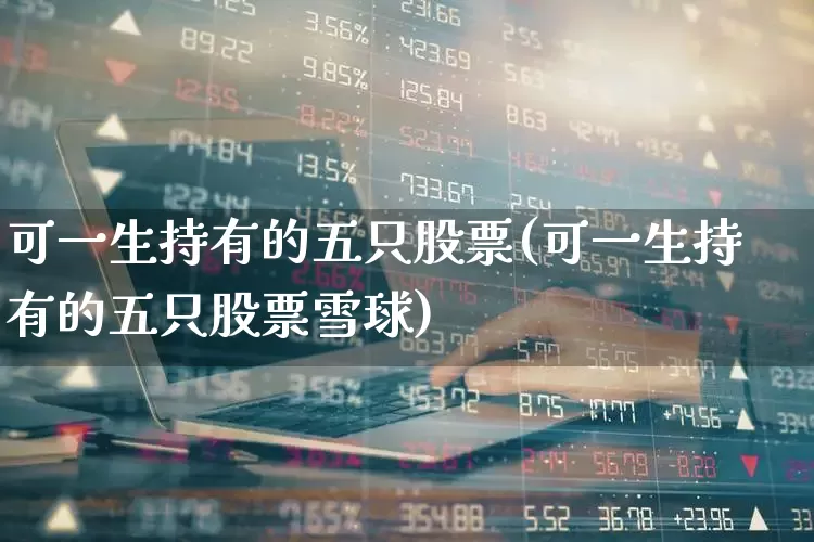 可一生持有的五只股票(可一生持有的五只股票雪球)_https://www.ccit-cctv.com_科创板_第1张