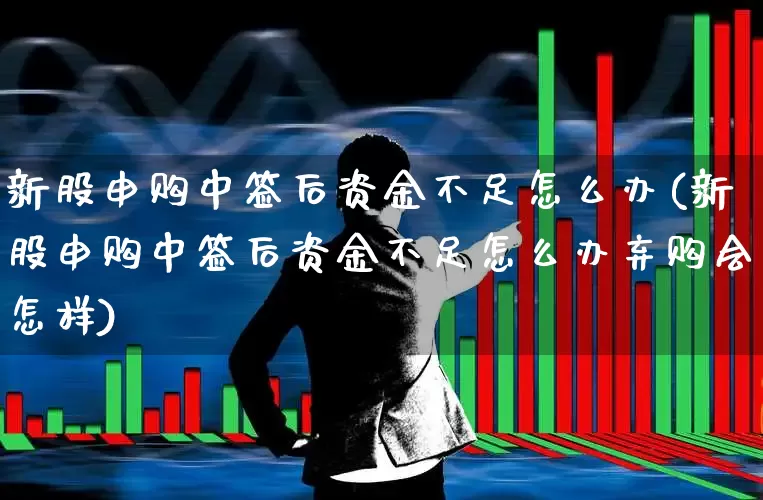 新股申购中签后资金不足怎么办(新股申购中签后资金不足怎么办弃购会怎样)_https://www.ccit-cctv.com_创业板_第1张