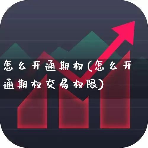 怎么开通期权(怎么开通期权交易权限)_https://www.ccit-cctv.com_深交所_第1张