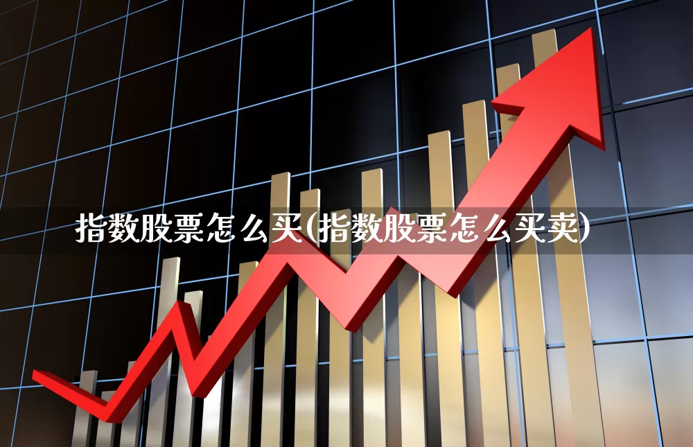 指数股票怎么买(指数股票怎么买卖)_https://www.ccit-cctv.com_上交所_第1张