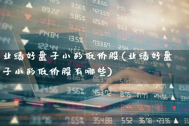 业绩好盘子小的低价股(业绩好盘子小的低价股有哪些)_https://www.ccit-cctv.com_科创板_第1张