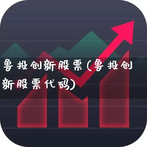 鲁投创新股票(鲁投创新股票代码)_https://www.ccit-cctv.com_北交所_第1张