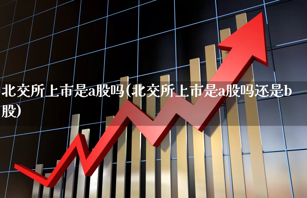 北交所上市是a股吗(北交所上市是a股吗还是b股)_https://www.ccit-cctv.com_上交所_第1张