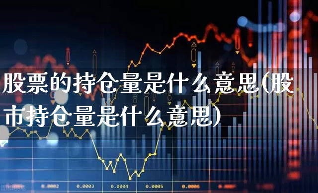股票的持仓量是什么意思(股市持仓量是什么意思)_https://www.ccit-cctv.com_深交所_第1张