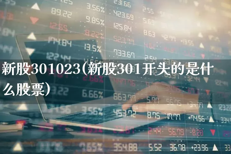 新股301023(新股301开头的是什么股票)_https://www.ccit-cctv.com_科创板_第1张