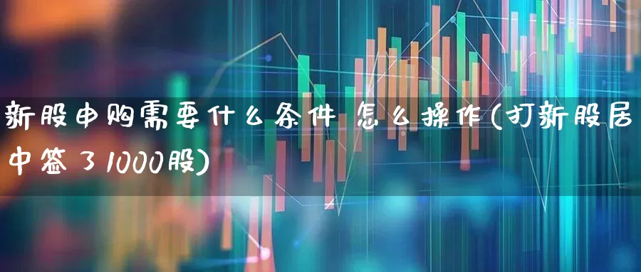 新股申购需要什么条件 怎么操作(打新股居然中签了1000股)_https://www.ccit-cctv.com_创业板_第1张
