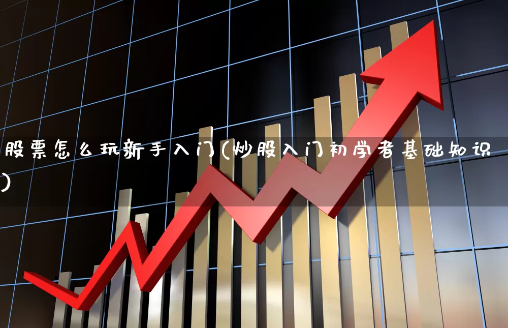 股票怎么玩新手入门(炒股入门初学者基础知识)_https://www.ccit-cctv.com_北交所_第1张
