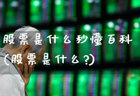 股票是什么秒懂百科(股票是什么?)_https://www.ccit-cctv.com_上交所_第1张