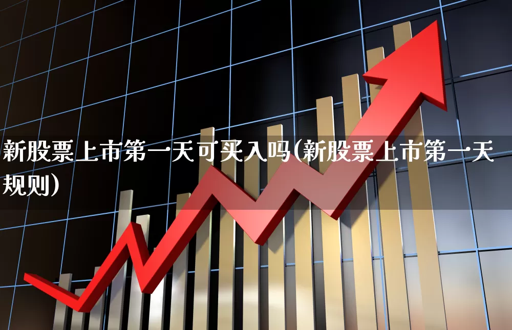 新股票上市第一天可买入吗(新股票上市第一天规则)_https://www.ccit-cctv.com_深交所_第1张