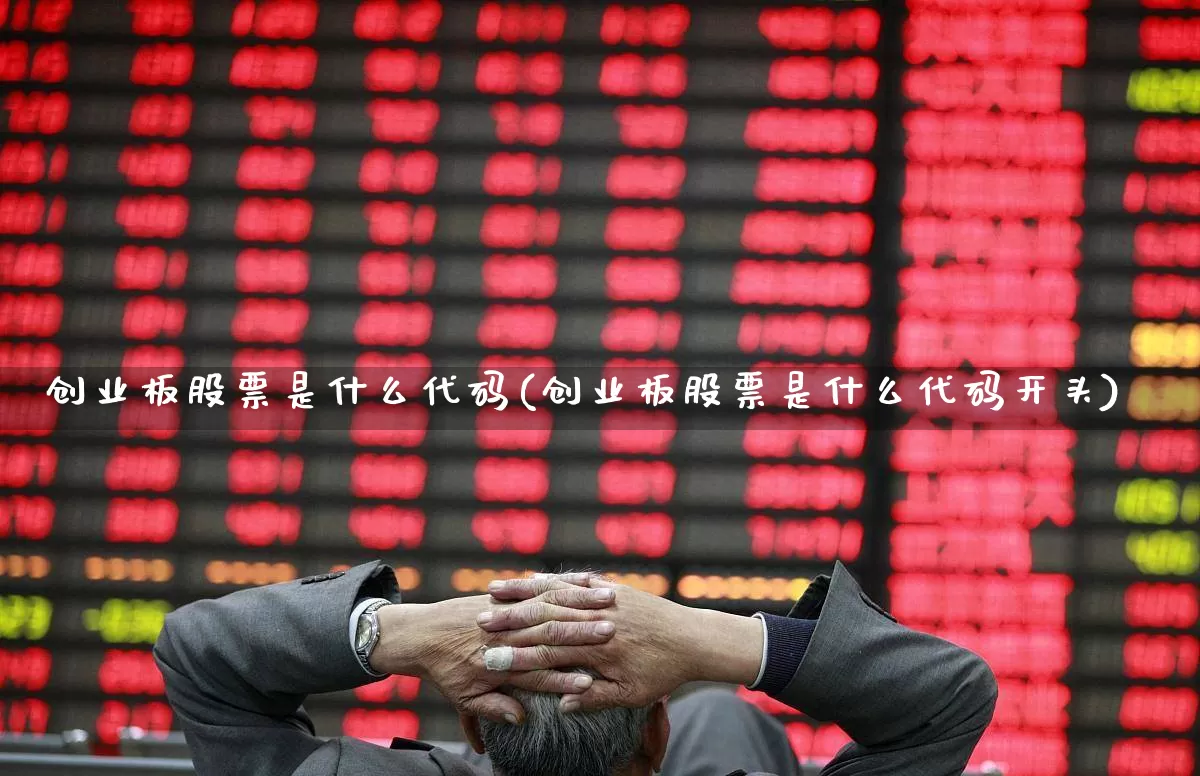 创业板股票是什么代码(创业板股票是什么代码开头)_https://www.ccit-cctv.com_深交所_第1张