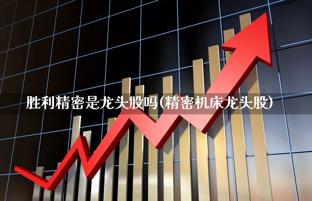 胜利精密是龙头股吗(精密机床龙头股)_https://www.ccit-cctv.com_创业板_第1张