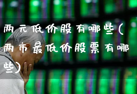 两元低价股有哪些(两市最低价股票有哪些)_https://www.ccit-cctv.com_深交所_第1张