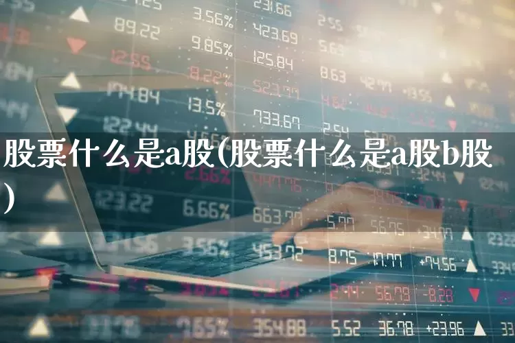 股票什么是a股(股票什么是a股b股)_https://www.ccit-cctv.com_科创板_第1张