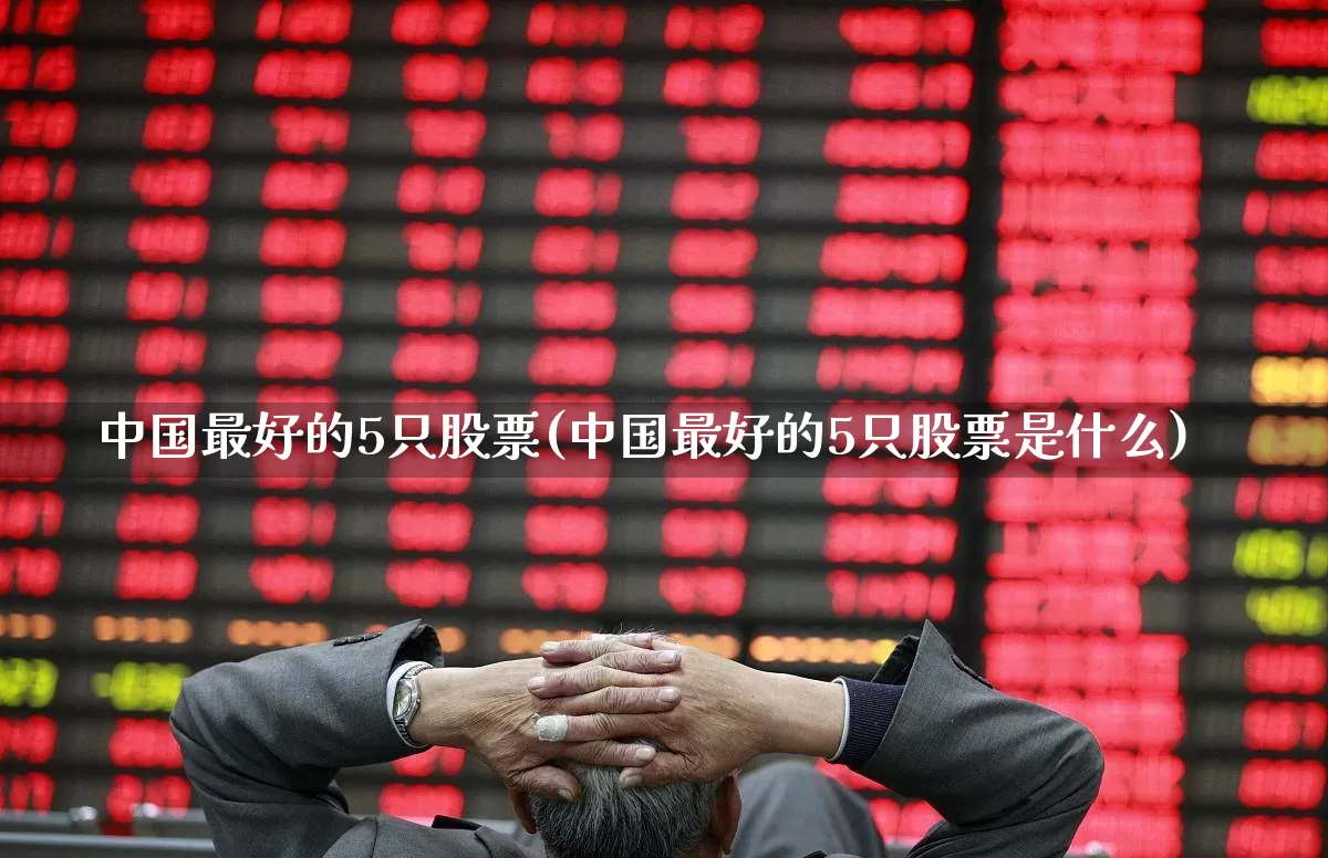 中国最好的5只股票(中国最好的5只股票是什么)_https://www.ccit-cctv.com_北交所_第1张