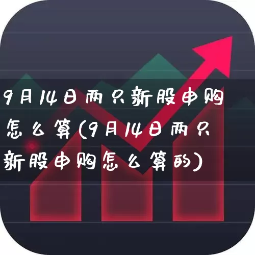 9月14日两只新股申购怎么算(9月14日两只新股申购怎么算的)_https://www.ccit-cctv.com_上交所_第1张