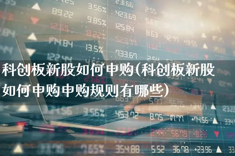 科创板新股如何申购(科创板新股如何申购申购规则有哪些)_https://www.ccit-cctv.com_创业板_第1张