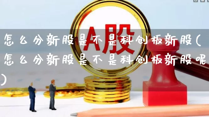 怎么分新股是不是科创板新股(怎么分新股是不是科创板新股呢)_https://www.ccit-cctv.com_北交所_第1张