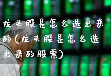 龙头股是怎么选出来的(龙头股是怎么选出来的股票)_https://www.ccit-cctv.com_创业板_第1张