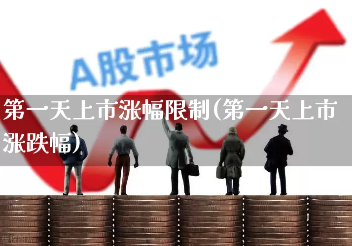 第一天上市涨幅限制(第一天上市涨跌幅)_https://www.ccit-cctv.com_科创板_第1张