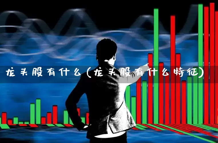 龙头股有什么(龙头股有什么特征)_https://www.ccit-cctv.com_深交所_第1张