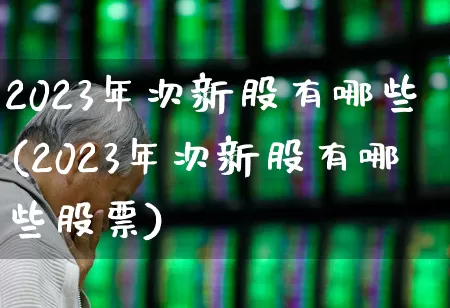 2023年次新股有哪些(2023年次新股有哪些股票)_https://www.ccit-cctv.com_创业板_第1张