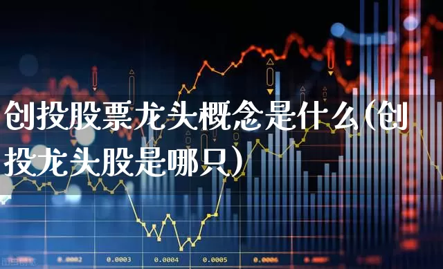 创投股票龙头概念是什么(创投龙头股是哪只)_https://www.ccit-cctv.com_深交所_第1张