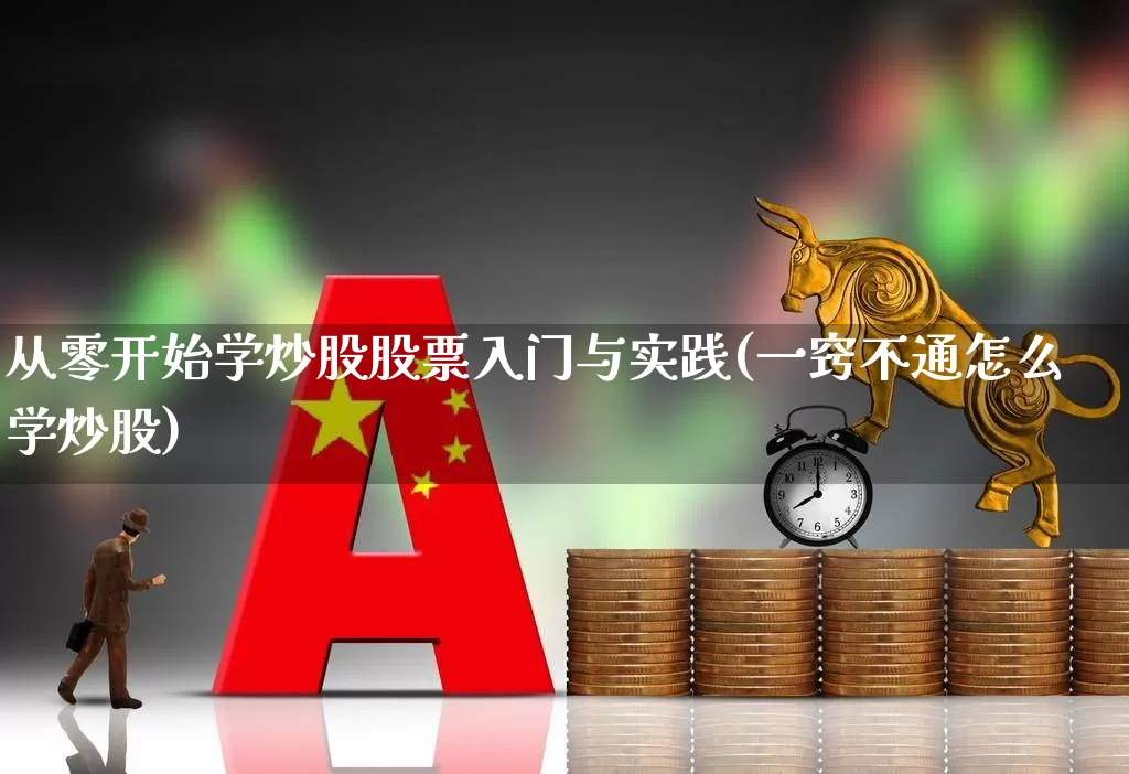 从零开始学炒股股票入门与实践(一窍不通怎么学炒股)_https://www.ccit-cctv.com_深交所_第1张