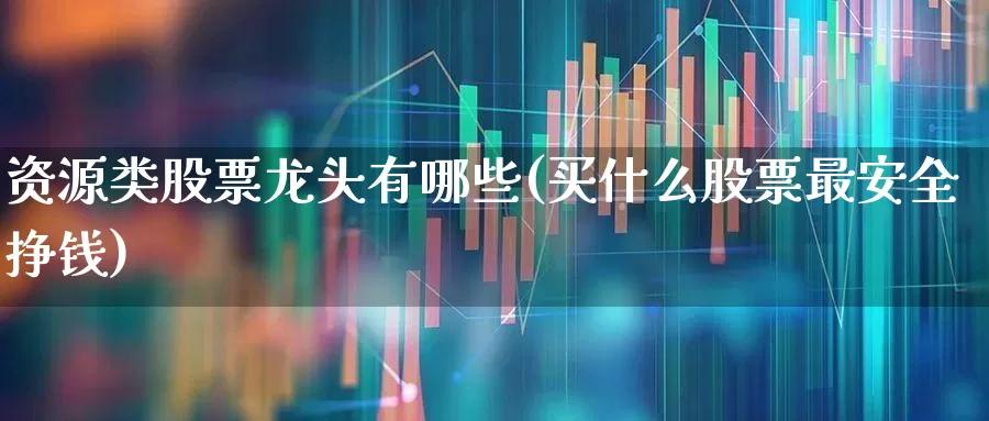资源类股票龙头有哪些(买什么股票最安全挣钱)_https://www.ccit-cctv.com_北交所_第1张