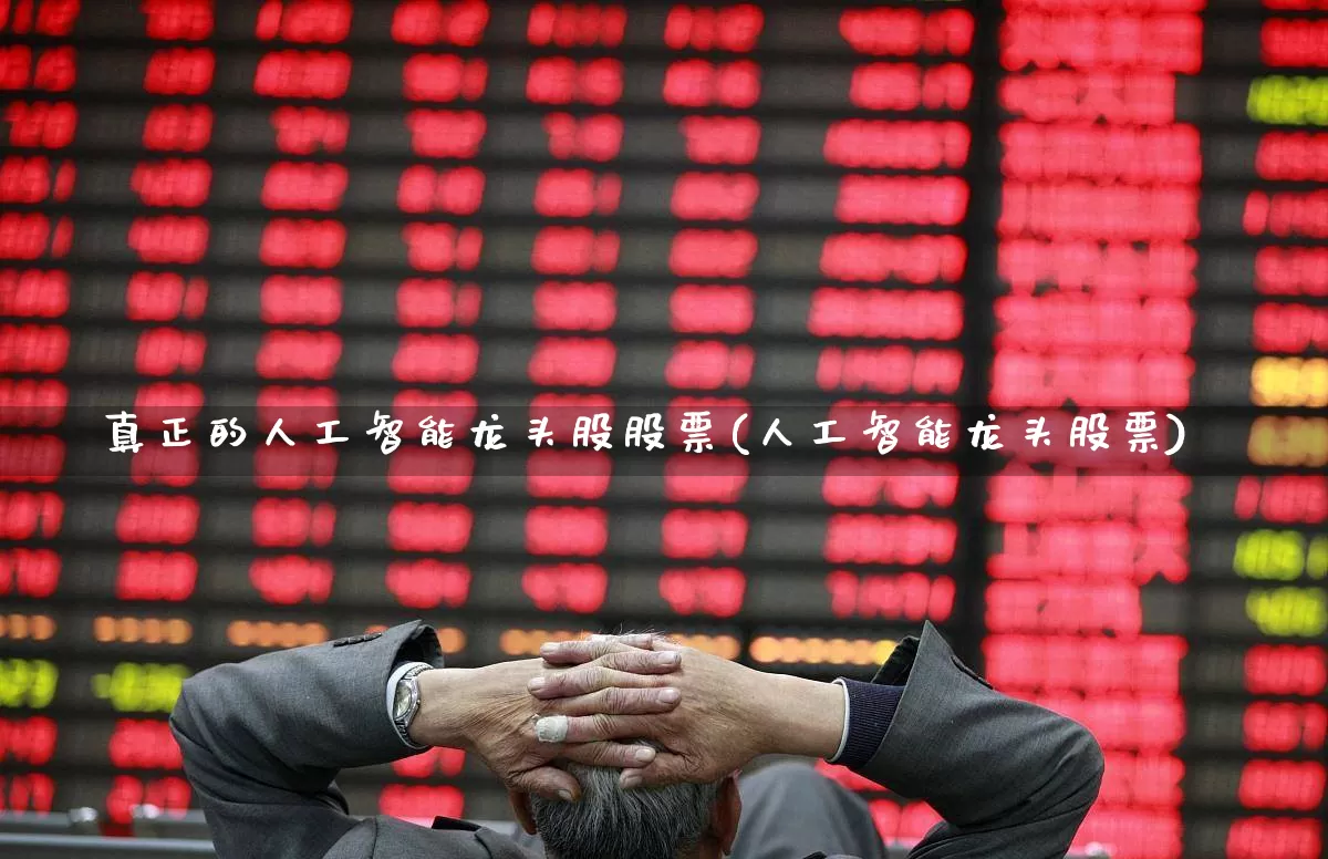 真正的人工智能龙头股股票(人工智能龙头股票)_https://www.ccit-cctv.com_深交所_第1张